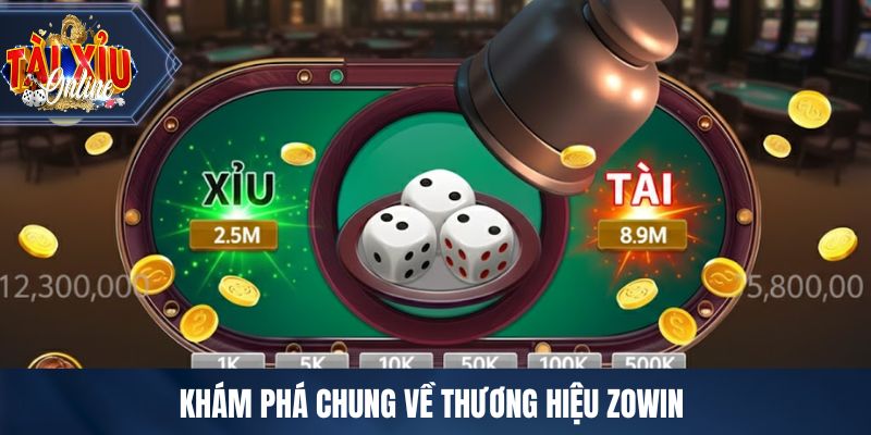 Khám phá chung về thương hiệu ZOWIN