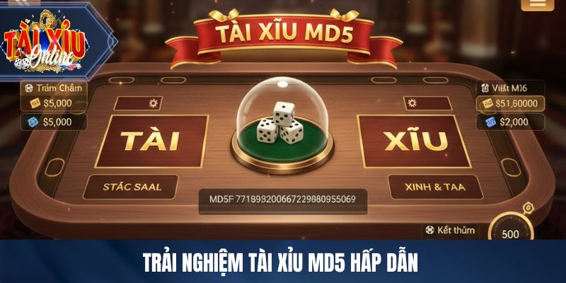 Trải nghiệm tài xỉu MD5 hấp dẫn