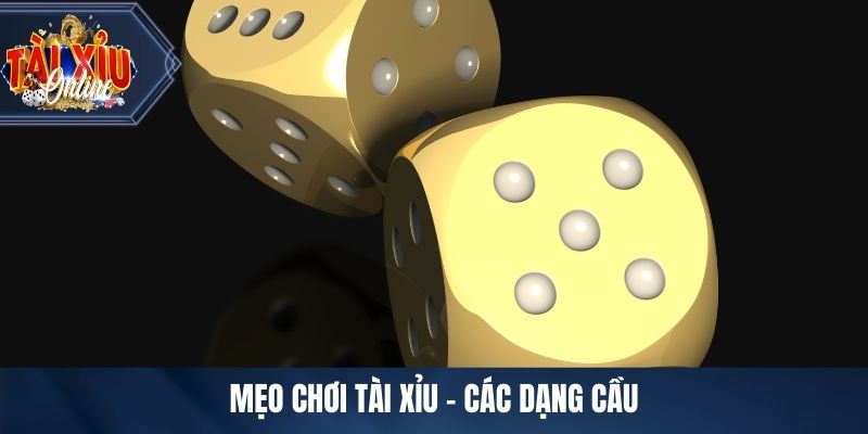 Mẹo chơi tài xỉu - Các dạng cầu