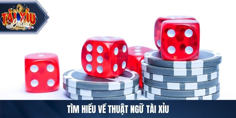 Tìm hiểu về thuật ngữ tài xỉu